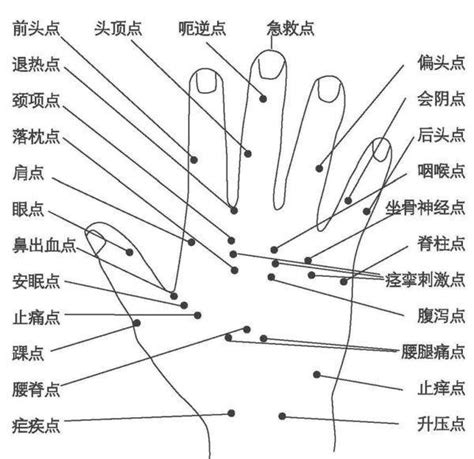 20大名穴|二十大名穴图解